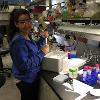 Katreen Mikhail at Work in the Lab